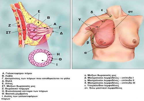 aftoexetasi-maston-1