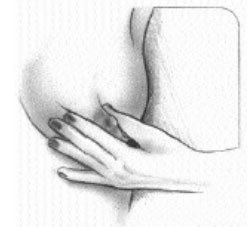 aftoexetasi-maston-5