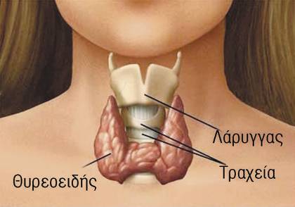 karkinos-thiroeidous