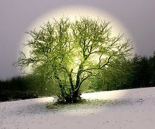 pou_einai_h_eytixia-enallaktiki_mathisi